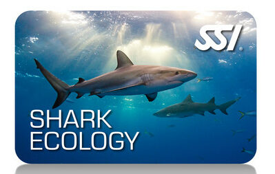 Shark ecology